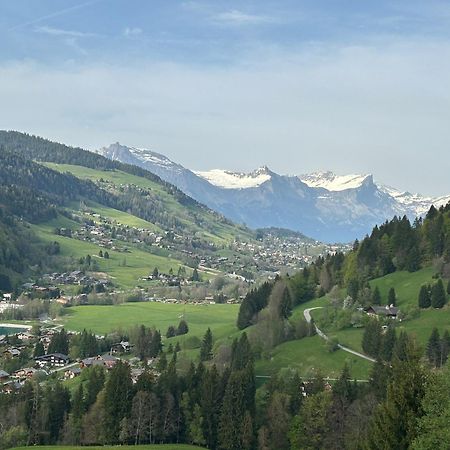 Chalet Saint Victor, Praz Sur Arly Dış mekan fotoğraf