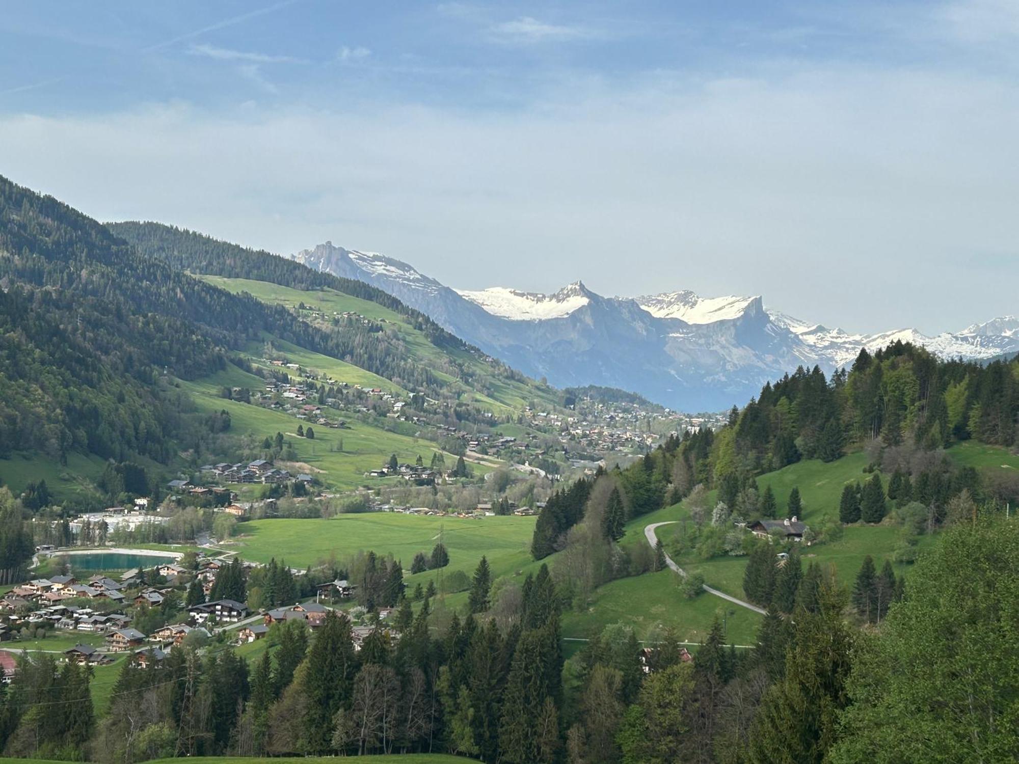 Chalet Saint Victor, Praz Sur Arly Dış mekan fotoğraf